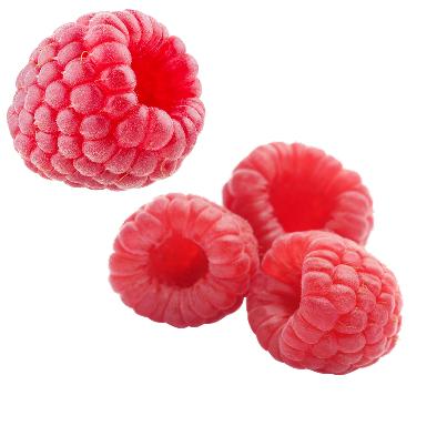 berries